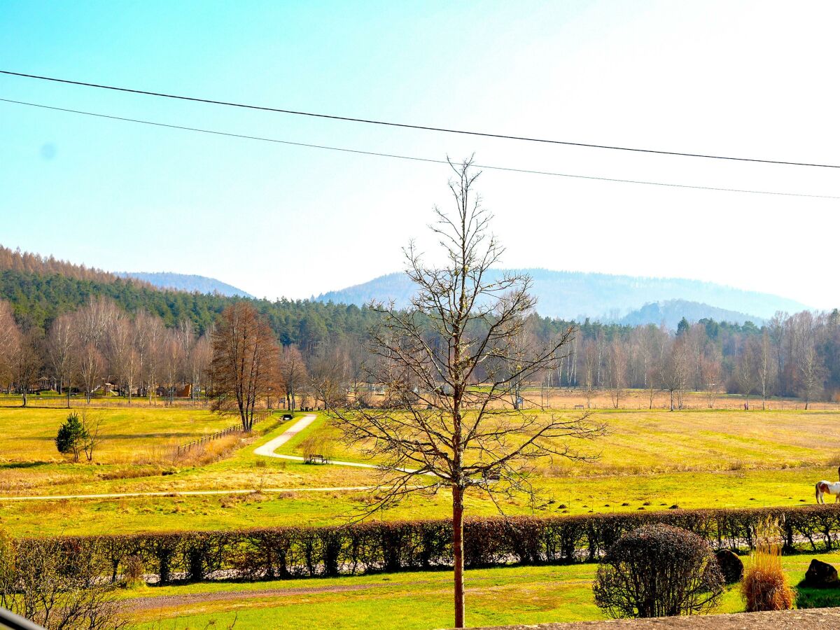 Blick in die Talauen