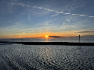Ferienwohnung Norderney Umgebung 13