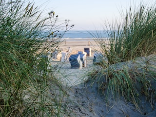 Ferienwohnung Norderney Umgebung 14
