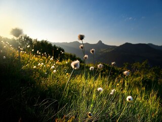 Maison de vacances Damüls Environnement 31