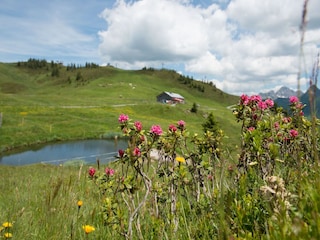 Apartment Damüls Umgebung 22