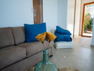 Ferienhaus Pedreguer  38