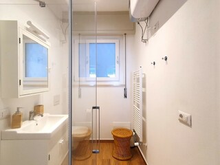 Apartamento Pino sulla Sponda del Lago Maggiore Características 16