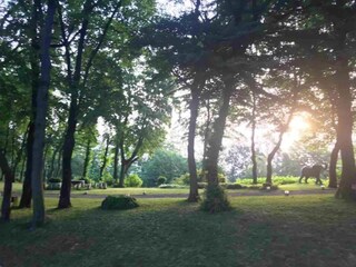 Appartamento Vernasca Ambiente 18