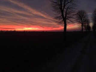 Appartamento Vernasca Ambiente 20