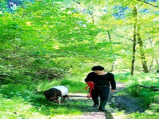 Appartamento Vernasca Ambiente 21