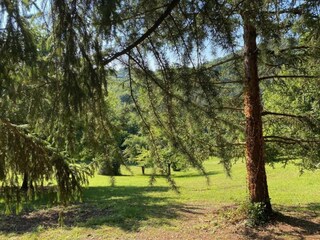 Appartamento Vernasca Ambiente 23