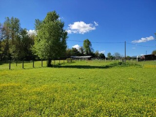 Appartement Vernasca Environnement 35