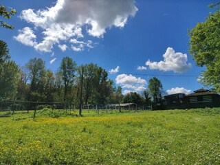 Appartement Vernasca Environnement 32
