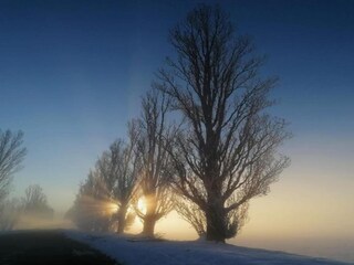 Appartement Vernasca Environnement 30