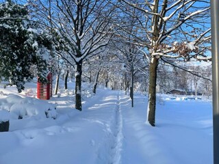 Appartement Vernasca Environnement 31
