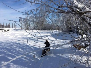 Appartamento Vernasca Ambiente 36