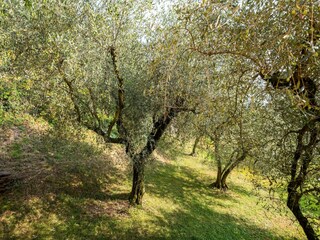 Casa per le vacanze Costermano Registrazione all'aperto 8