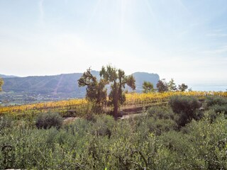 Vakantiehuis Costermano Buitenaudio-opname 6