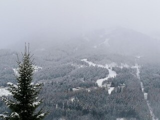 Appartement Cavalese Omgeving 37