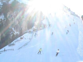 Apartment Cavalese Umgebung 22