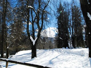 Appartamento Cavalese Ambiente 24