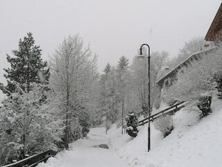 Apartment Cavalese Umgebung 27