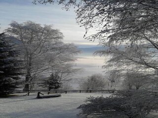 Appartamento Cavalese Ambiente 30