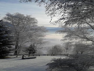 Appartement Cavalese Environnement 30
