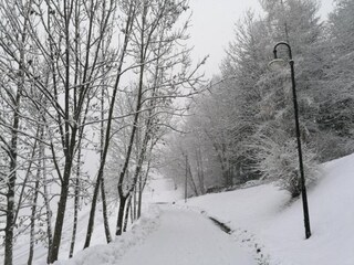 Appartement Cavalese Omgeving 34