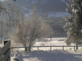 Appartement Cavalese Environnement 35