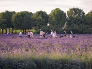 Type de propriété : Ferme Asciano Enregistrement extérieur 18