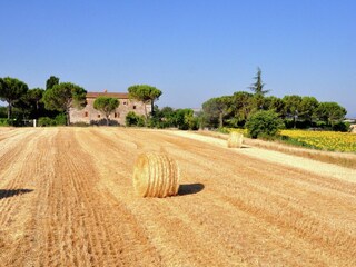 Type de propriété : Ferme Asciano Enregistrement extérieur 20