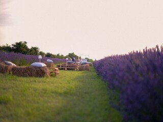 Type de propriété : Ferme Asciano Enregistrement extérieur 20