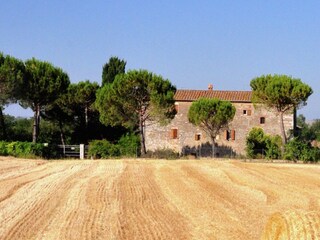 Type de propriété : Ferme Asciano Environnement 37