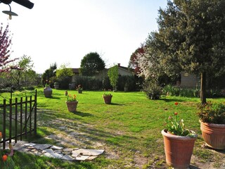 Type de propriété : Ferme Asciano Enregistrement extérieur 25