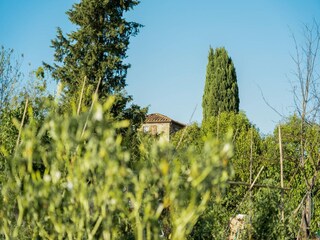Type de propriété : Ferme Asciano Enregistrement extérieur 26