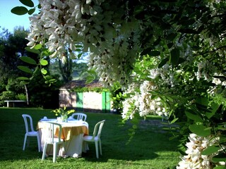 Villa Montemaggiore al Metauro Grabación al aire libre 5