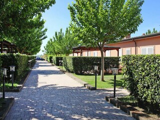 Parc de vacances Vada Enregistrement extérieur 2