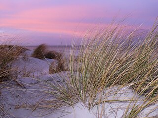 Düne im Sonnenuntergang am Nordstrand