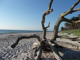 Wildromantischer Weststrand