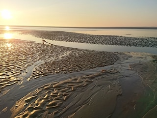Am Priel