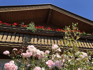 Holiday house Sattendorf Outdoor Recording 6