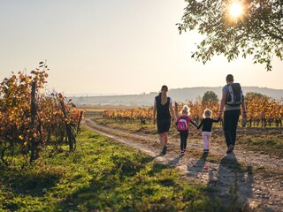 Appartamento per vacanze Purbach Ambiente 14