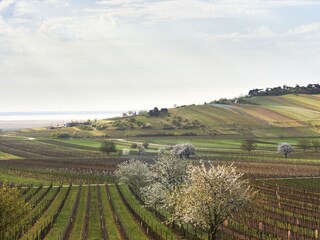 Appartamento per vacanze Purbach Ambiente 16