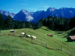 Appartement de vacances Garmisch-Partenkirchen Environnement 14