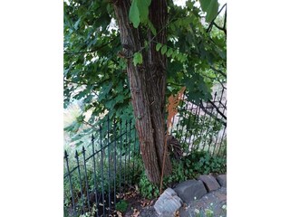 20c1effe-5be8-4046-af1c-dde6923c6ce7