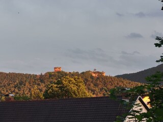 bb4c5345-d9df-4ca3-826c-4aa171bb3b72