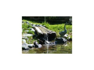 Forellenteich vor dem Haus Rubin