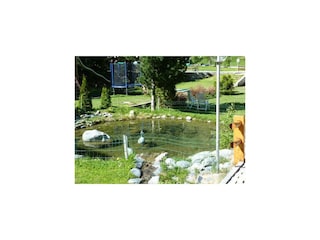 Gartenteich Haus Rubin