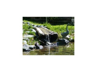 Forellenteich vor dem Haus Rubin