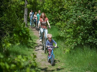 Holiday park Oosterhout  20