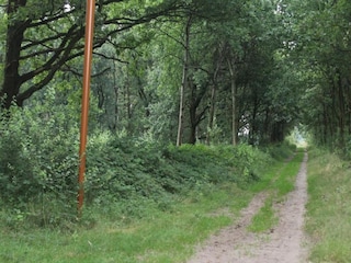 Holiday park Oosterhout Environment 15