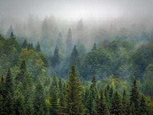 Ferienpark Gemütliches Holzchalet im Wald, mit Mikrowelle - Viroinval - image1