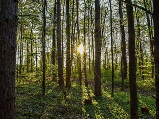 Parc de vacances Viroinval Environnement 15